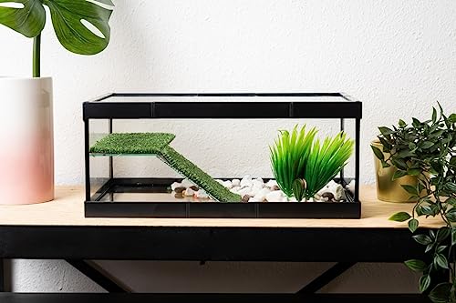 Glasschildkröte mit schwarzem Rahmen und Glasdeckel. Mittelgroß von OCEAN BOX ACUARIUM