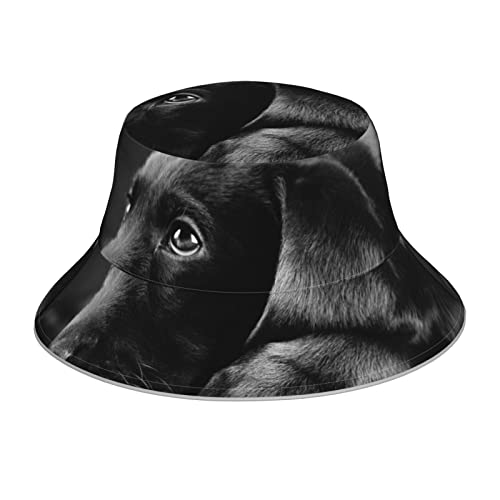 Banana Fish Reflektierender doppelseitiger Fischerhut doppelseitiger reflektierender Streifen Sonnenhut Bucket Hat, Welpen Hund, Einheitsgröße von OCELIO