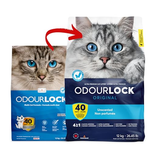 Odoulock 70011 Katzentoilette für Katzen, 12 kg von ODOURLOCK