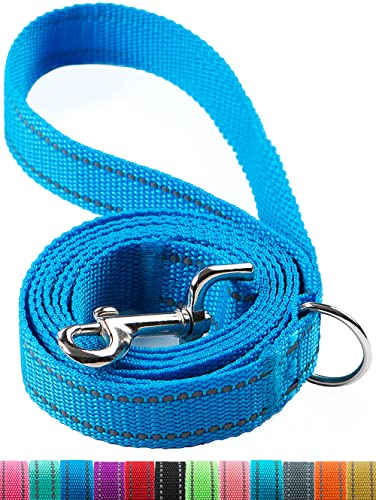 Reflektierende Hundeleine für kleine Hunde, Laufleine Hund, Trainingsleine (Blau, 1,9 cm x 1,8 m) von OEFEO