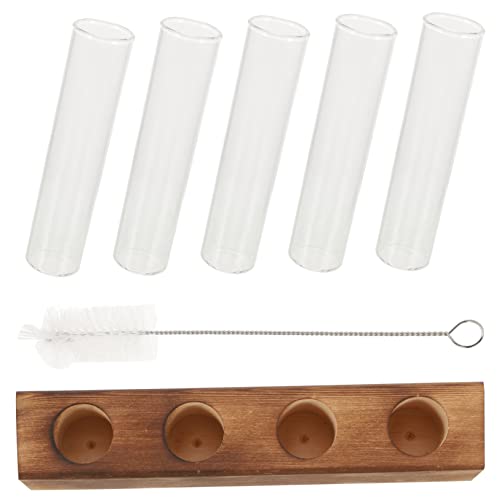 OFFSCH Hydrokultur-Pflanzgefäß-Vase-Set aus Glas Holzständer Reinigungsbürste für Zimmerpflanzen- von OFFSCH