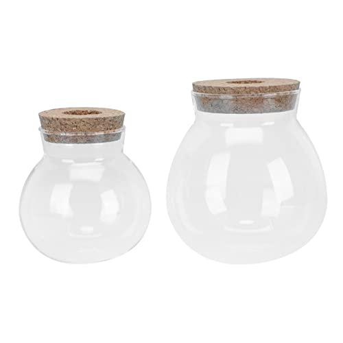 OFFSCH 2St Glasvase sztuczne kwiaty hochzeitsdeko vases terrarien deko fürs Wohnzimmer Mini-Blumentöpfe gefälschte Blumen Dekoration Vintage-Deko Pflanzenvasenschmuck Haushaltsvase Kork von OFFSCH