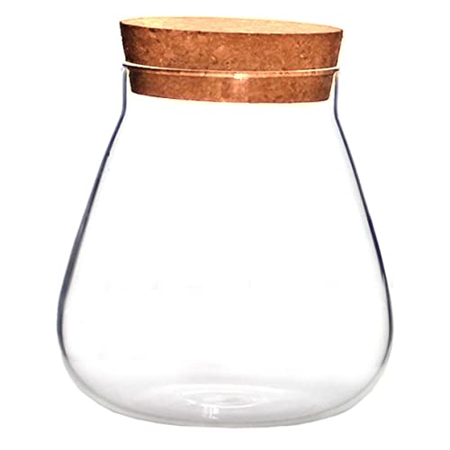 OFFSCH 3 STK Flasche aus Korkglas Dose mit Korkdeckel Luft Apothekergläser pflanzenterrarium glasgefäß Einmachgläser Einmachglas Display-Topf DIY Kunsthandwerk Flaschenverschluss Kork von OFFSCH