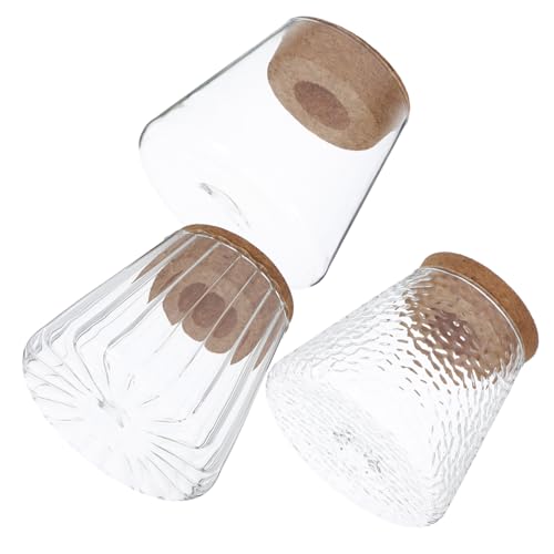 OFFSCH 3er-Pack Desktop-blumentopf Hydrokultur Dekorative Vase Glas Terrarium Glas von OFFSCH