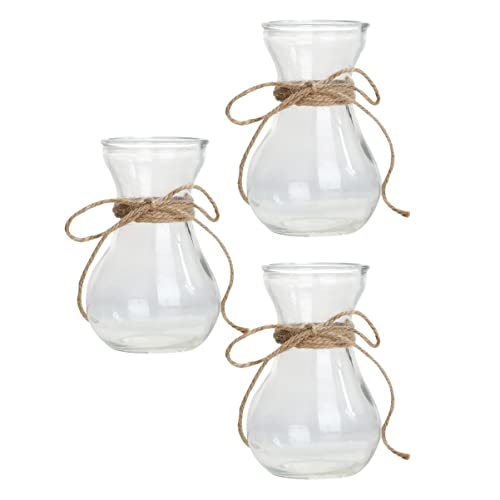 OFFSCH 3pcs Glas Vase Anlage Ausbreitung Station Für Desktop Home Office Decor von OFFSCH