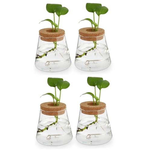 OFFSCH 4 Stück Eco-Flasche Zubehör Für Terrarien Vermehrungsstation Für Terrarien Terrarium Blumenzwiebelvase Terrarienpflanzer Terrarien-hydrokulturpflanzer Mini-Pflanzen Dekor Groß Glas von OFFSCH