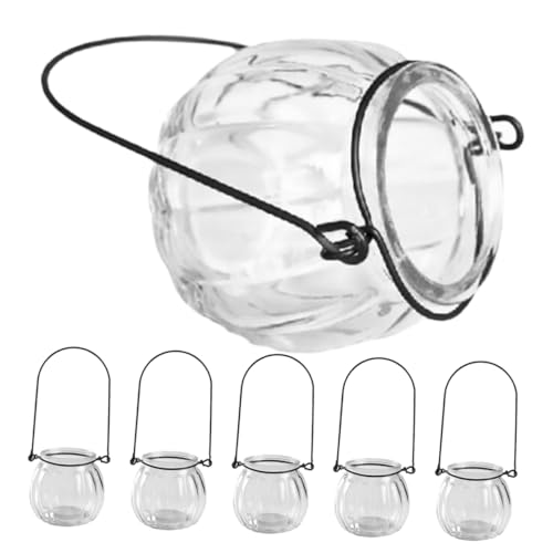 OFFSCH 6 Stück Hängende Hydrokultur Flasche Innentöpfe Für Pflanzen Vase Wandvase Pflanzen Terrarium Töpfe Für Zimmerpflanzen Wanddekoration Pflanztöpfe Transparentes Glas von OFFSCH