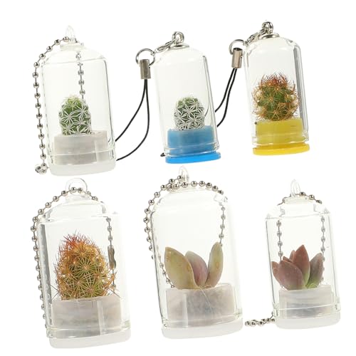 OFFSCH 6st Schlüsselanhänger Miniaturvase Luftpflanzenhalter Mini-pflanztöpfe Terrarienset Erwachsene Fläschchen Charme Mini-dekor Klare Blumenvase Halter Für Luftpflanzen Glas von OFFSCH