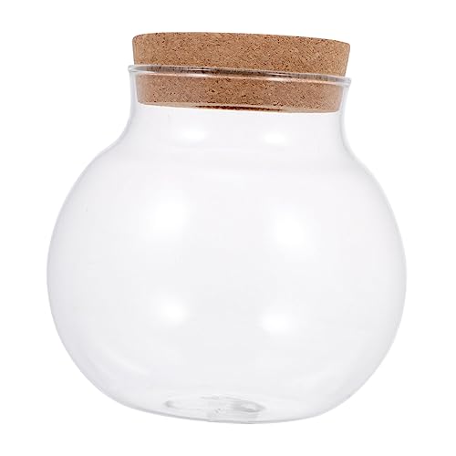 OFFSCH Kreative Landschaft Glasflasche Fisch Tank Moos Pflanze Terrarium für von OFFSCH