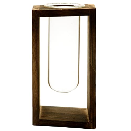 OFFSCH Luftpflanze Glas Terrarium Vase Holzständer Hydroponischer Pflanzer Für Home Office von OFFSCH