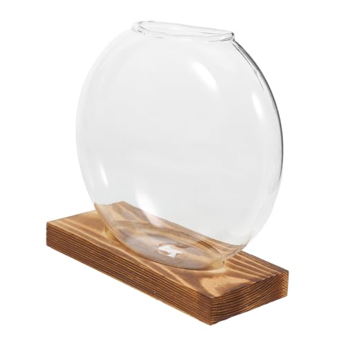 OFFSCH Hydroponische Vase Flüssige Pflanzen Dekorative Schalen Für Den Tisch Vasenpflanzen Aufbewahrungsbehälter Für Vorschläge Hausvase Grüne Vase Würfel Blumentopf Glas Transparent von OFFSCH