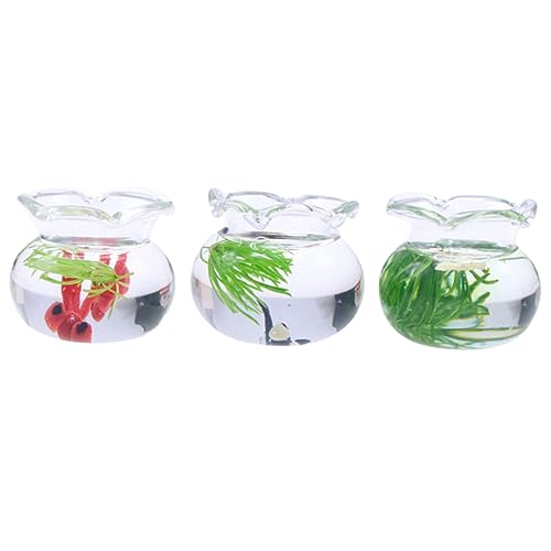 3st Puppenhaus-glasschale Winzige Fischschalen Wohnkultur Kleines Fischglas 1 Aquarium Im Maßstab 12 Glasklare Schalen 1 12 Fischglas Aquariummodell Mini Kleines Spielzeug von OFFSCH