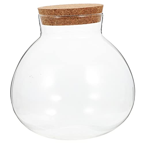 OFFSCH Ökologische Mikrolandschaftsflasche Mikro-landschafts-DIY-Flasche Jar Mit Korkdeckel Micro-landschafts-DIY-Flasche Hydrokultur-pflanzgefäß Vase Glas Büro Leere Flasche Moos von OFFSCH