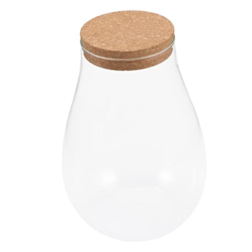 OFFSCH Ökologische Mikrolandschaftsflasche Krug Container Mini Zimmerpflanze Hydroponische Flasche Pflanzenvermehrungsstation Groß Klar Bouchon Vermehrungsvase Krüge Mit Deckel Glas von OFFSCH