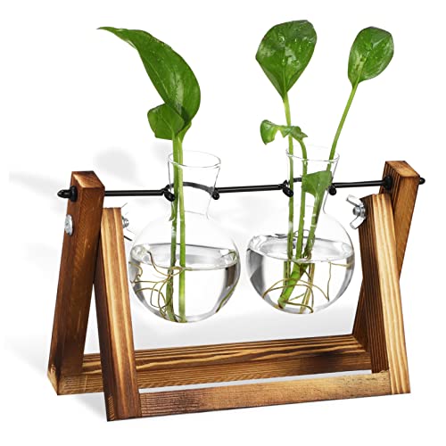 OFFSCH Ornamente klare Vase Reagenzglasvasen klare Glühbirnen Tischterrarium Schreibtisch Dekoration Blumenvase Pflanzen blumenbank Vermehrungsstation für Tisch Ausbreitungsstationen Holz von OFFSCH