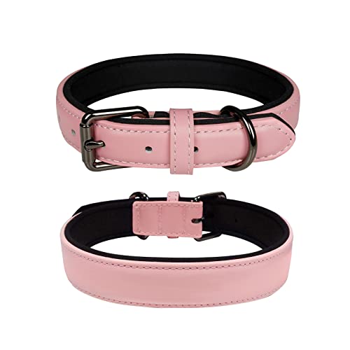 OFHome Hundehalsband aus Leder für kleine, mittelgroße und große Hunde, aus echtem Leder, weich gepolstert, handgefertigt, mit robuster Schnalle, für kleine Hunde und Katzen, Rosa, 31,8 - 39,9 cm von OFHome