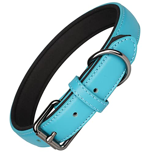 OFHome Hundehalsband aus Leder für mittelgroße und große Hunde, weich gepolstertes Hundehalsband aus Leder mit D-Ring, klassisches, robustes Hundehalsband, Blau, L von OFHome