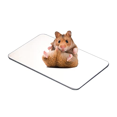 IYSHOUGONG Kühlmatte für Kaninchen, selbstkühlende Matte aus Aluminium für Haustiere, Hamster, Kühlung für Kaninchen, Welpen, Kätzchen, Meerschweinchen, Chinchilla, 1 Stück von OGKLFDPOH