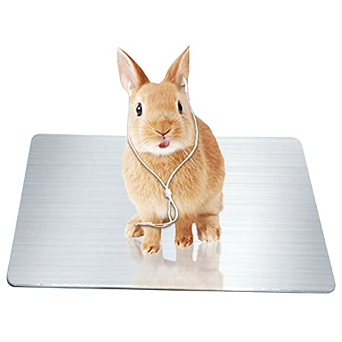 IYSHOUGONG Kühlmatte für Kaninchen, selbstkühlende Matte aus Aluminium für Haustiere, Hamster, Kühlung für Kaninchen, Welpen, Kätzchen, Meerschweinchen, Chinchilla, 1 Stück von OGKLFDPOH