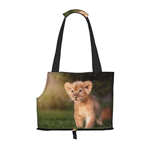 Art Lion Faltbare Hundetragetasche, Tragetasche, geeignet für Welpen, kleine Hunde und Katzen für Outdoor-Reisen von OGNOT