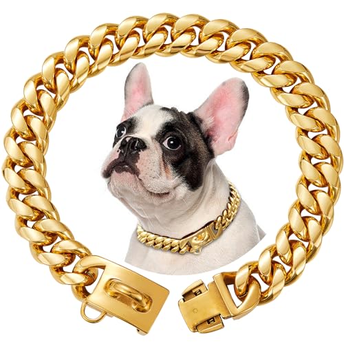 15mm Breite Goldenes Rostfreier Stahl Hundehalsband Metall Hundehalsband Hundekette Halsbänder Pet Training Walking Halsband(25cm) von OH-JEWPHX