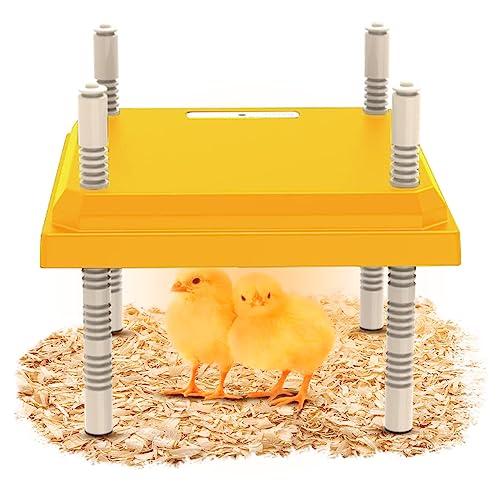 Brutkasten Vollautomatisch für 15 Küken, 10 x 10 Zoll Brutkasten Heizplatte Konstante Temperatur Höhenverstellbar Leise Stabil Küken Brutkasten für Huhn Gans Ente Wachtel Vogel (Farbe) von OHKIT