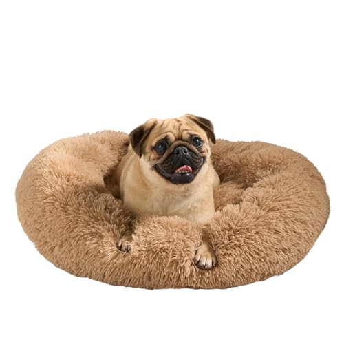 OHS Beruhigendes Donut-Hundebett, luxuriöses Katzenbett, superweich, Plüsch, gemütlich, waschbar, Hundebett für Wohnzimmer, Küche, Haustierbetten für Hunde, Beige von OHS