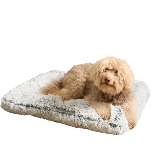 OHS Großes Hundebett, flauschig, weich, bequem, gepolstert, waschbar, rutschfest, großes Haustierbett zum entspannenden Schlafen, Weiß, 80 x 60 x 6 cm von OHS