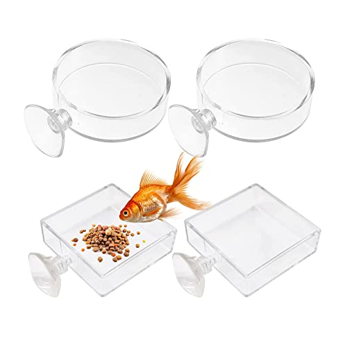 OHYER 4 Stück Transparent Aquarium Futterschale Arcyl Aquarium Garnelen Feeder Aquarium Fressnäpfe Garnelen Fütterung Futternapf Shrimp Feeder Dish mit Saugnapf für Aquarium Haus (Ø6.5cm) von OHYER