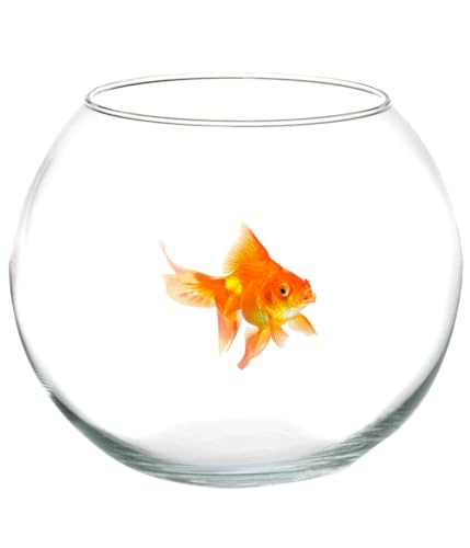 Trade Shop – Ampulle für Fische aus Glas, 25 cm, Aquarium Rotfisch Mittelstück Haus - von OISE ART STORE