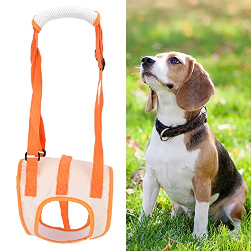 Dog Assist Geschirr, Hundehinterbeinstützgurt Ergonomisches Design Robustes Mesh-Tuch Atmungsaktiv Weich für Alten Hund Schwacher Hund(XL) von OKAT