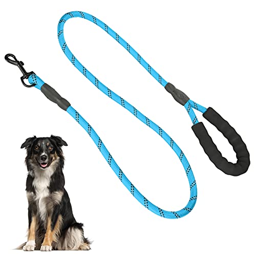 Pet Leash, Heavy Duty Pet Leash Nylon Pet Leash 1,5 Meter Lange Hundeleine Leine Leicht für mittlere und große Hunde zum Spazierengehen(Blue) von OKAT