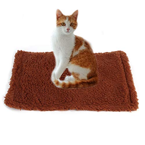 Kratzbrett für Katzen, Plüsch, Sisal, Hanf, Haustierteppich, Kratzbrett, Kratzspielzeug für kleine Hunde und Katzen, 47 x 31 x 3 cm (Brown) von OKJHFD