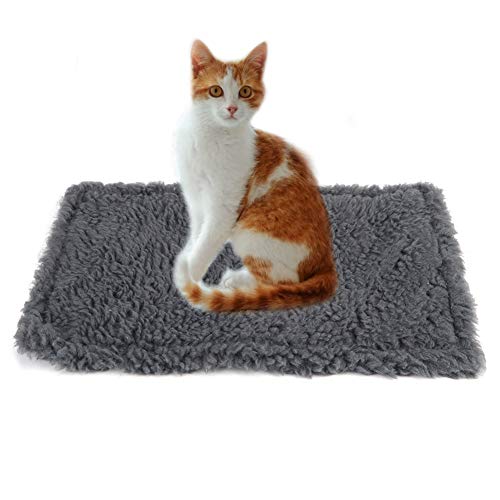 Kratzbrett für Katzen, Plüsch, Sisal, Hanf, Haustierteppich, Kratzbrett, Kratzspielzeug für kleine Hunde und Katzen, 47 x 31 x 3 cm (Grey) von OKJHFD