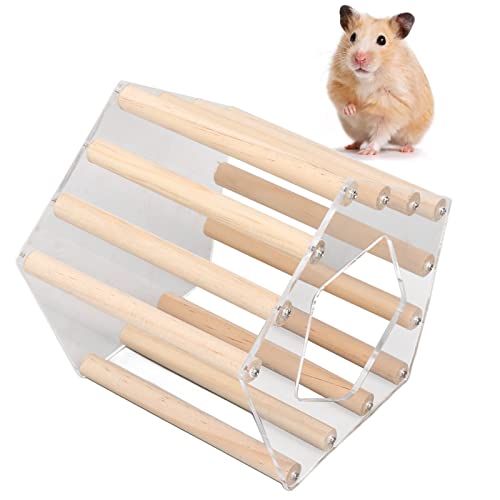 Minimalistisches fünfeckiges Hamster-Holzhaus, belüftete transparente Hamsterhütte, Hamsterversteck, Eckhaus, Käfigzubehör für Hamster, Goldbären und andere Kleintiere (Large 48L 13.1 X 12.2 X 18.5in) von OKJHFD