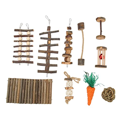 OKJHFD 10-teiliges Hamster-Kauspielzeug-Set, Kleintier-Zahnknirschspielzeug, Zahnpflege, Backenzahnspielzeug, Käfigzubehör für Rennmäuse, Ratten, Meerschweinchen, Chinchillas, Rennmäuse, von OKJHFD