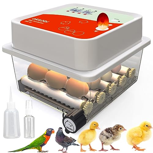 Okköbi OBI-12 Brutautomat für Hühner, Enten & andere Vögel + NEU 2024 + Brutautomat vollautomatisch + Temperaturkontrolle + Feuchtigkeitsanzeige + Integrierte Eierschale + 5 Jahre SCHUTZ von OKKÖBI