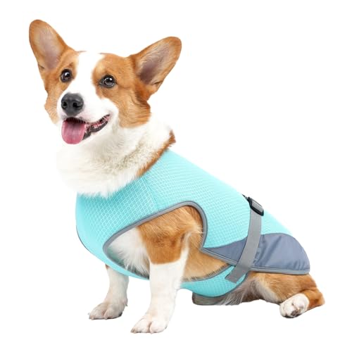 Hunde-Kühlweste, leichtes Haustier-Kühlshirt, atmungsaktive Hunde-Kühljacke, Outdoor-Spaziergang, Jagd, Wandern, Sommer-Hundekleidung für kleine, mittelgroße und große Hunde (M) von OKOVO