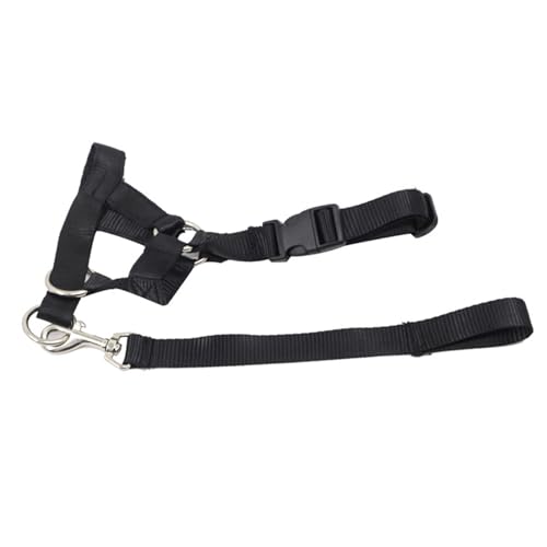 Hundemaulkorb mit Abschleppseil, Verstellbarer Hundehalsbandhalter, Hundehalsband verstellbar und leicht zu kontrollieren, verhindert Beißen, Bellen, Weglaufen (L) von OKOVO