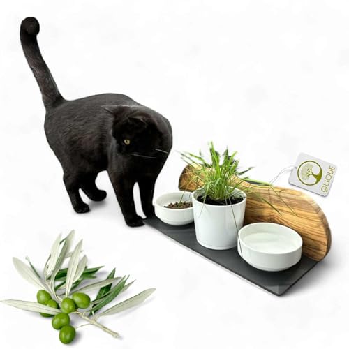 Futterstation personalisiert, Olivenholz - Futterbar mit Gravur, 2 Fressnäpfen und einem Katzengras-Topf für Katzen von OLIQUE