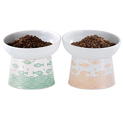 OMAYKEY Keramik Erhöhte Katzennäpfe Erhöhte Neigung Katzenfutter und Wassernapf Set, Porzellan Stressfrei Pet Feeder Dish für Katzen und Kleine Hunde, Spülmaschinen- und Mikrowellengeeignet, 2er Set von OMAYKEY