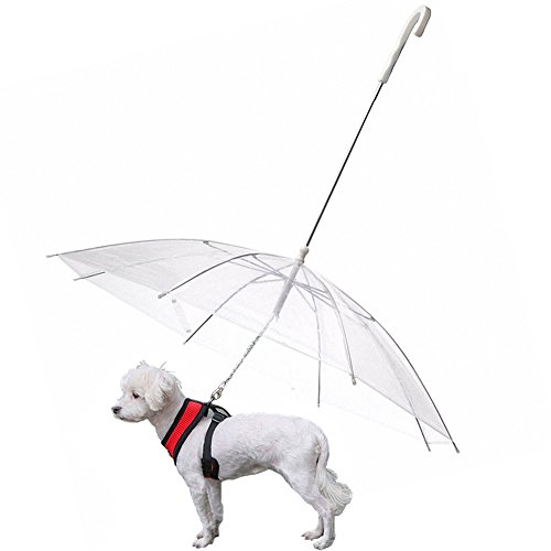 OMEM Hunde-Regenschirm mit Leine, regendicht, Durchmesser 77 cm von OMEM