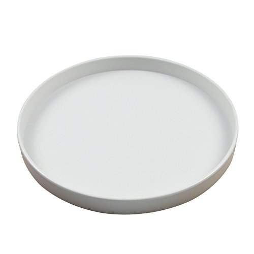 OMEM Reptile Fressnapf, Wasser Dish Futternapf, Vögel Schüssel, L, weiß von OMEM