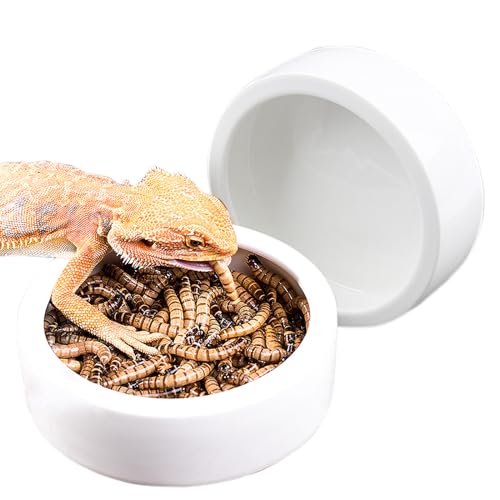 OMEM Wurmschale Mehlwürmer Anti-Flucht Reptilien Futter- oder Wassernapf Keramik hergestellt für Eidechse, Gecko, Leopard, Bartdrache (XL-2er-Pack) von OMEM