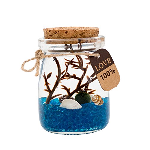 OMEM Marimo Ball Glas-Aquarium-Kit für Desktop-Dekoration, Zuhause, Urlaub, Party, Geschenke von OMEM