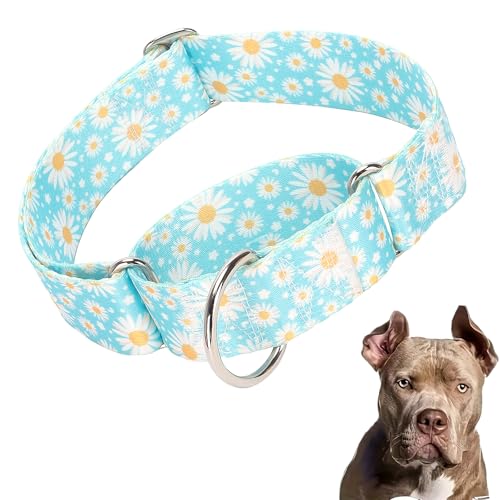 Martingale-Hundehalsband, 3,8 cm breit, strapazierfähig, verstellbar, mit blauem Gänseblümchen-Design, Militärqualität, starkes Hundehalsband für große/XL-Rassen (L) von ONEFOJOJO