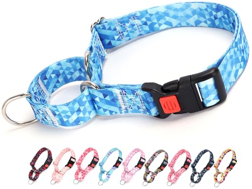 Blue Martingale Hundehalsband für kleine, mittelgroße und große Hunde, verstellbare Sicherheitsschnalle, Hundehalsband, Spaziergangstraining, Jungen und Mädchen, Hunde (Blau, M von ONEFOJOJO