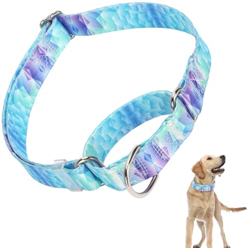 Blue Martingale Hundehalsband mit Schnellverschluss, für kleine, mittelgroße und große Hunde (Blau 33 S) von ONEFOJOJO