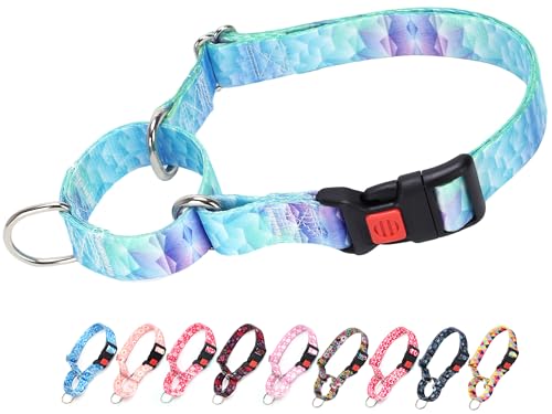 Bule Martingale Hundehalsband mit Schnellverschluss-Schnalle, Hundehalsbänder für kleine, mittelgroße und große Hunde (19 Blau, L) von ONEFOJOJO