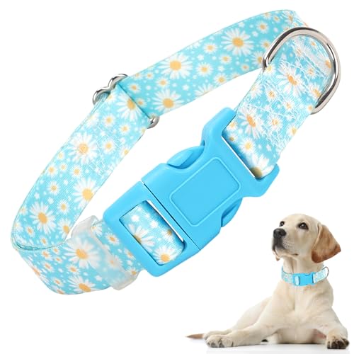 Hundehalsband für kleine Hunde mit blauen Gänseblümchen, Blumen-Design für Jungen, Mädchen, Hunde, verstellbar, bequem, weich, mit Sicherheitsschnalle für XS, kleine, mittelgroße und große Hunde (S) von ONEFOJOJO